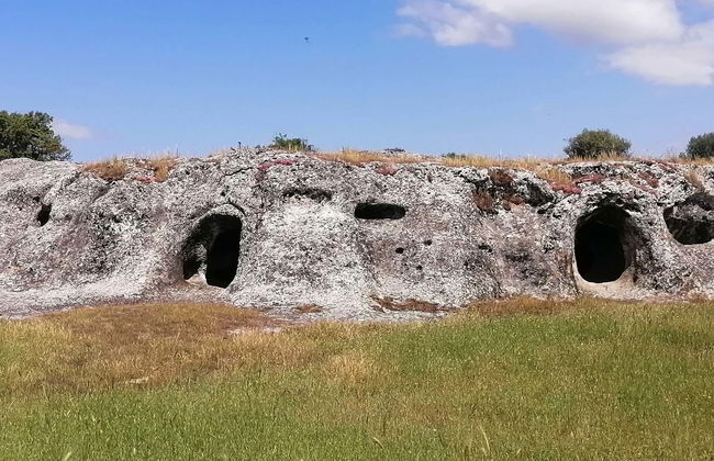 Excursion à la nécropole de Puttu Codinu et Nuraghe Appiu - Photo 5