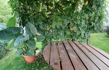 B & B SENTIERO VALTELLINA - Foto 17