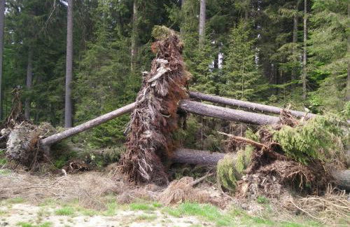 Mezonet Almberg Apartmany JaJ - Foto 24