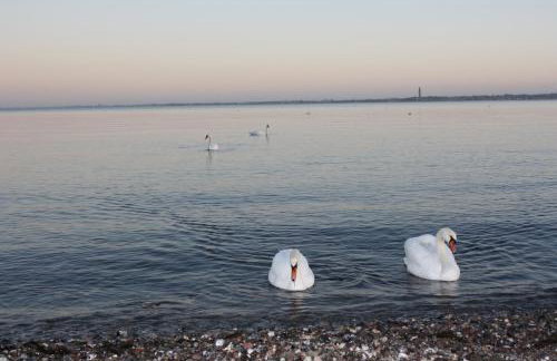 Öko Fewo Sturmmöwe - Photo 2