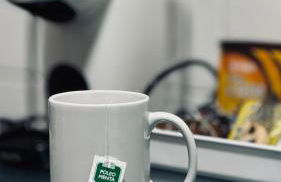 O Argalleiro - Foto 11