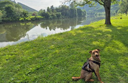Ferienwohnung Am Schiff in Eberbach - Foto 32
