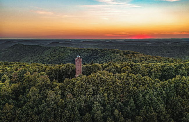 Landgasthaus zur Krone - Photo 18