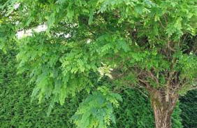 Apartment Talblick - Foto 13