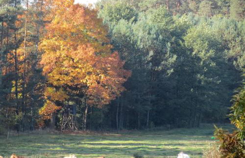 Gästehaus Schulz - Photo 13