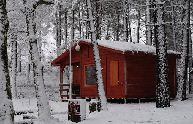 Bungalows da Peneda - Foto 12