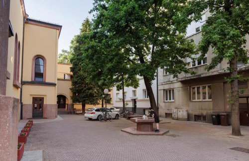 Vlaška Noir - Photo 28