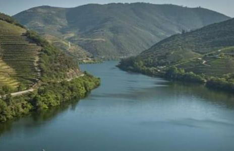 Casa do Lavadouro - Foto 30