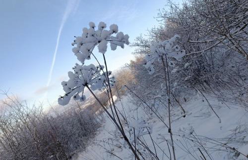 Dębowy Zakątek - Foto 37