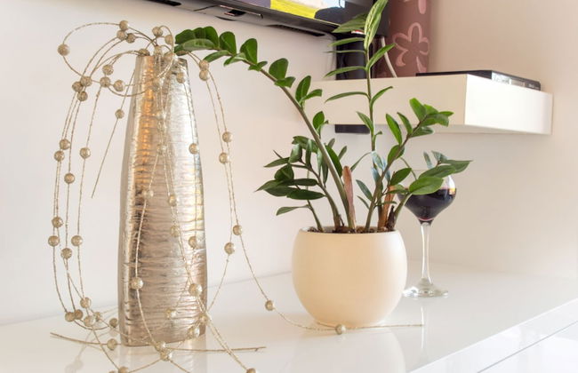 Villa Lavanda - Photo 46