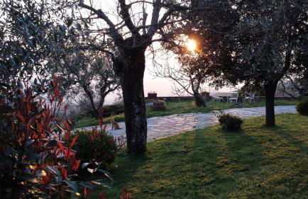 Agriturismo Borgo La Casetta - Foto 13