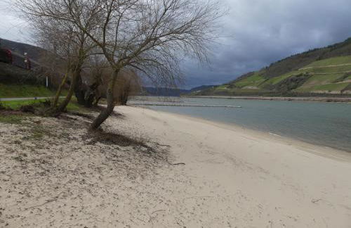 ChristRose - Foto 17