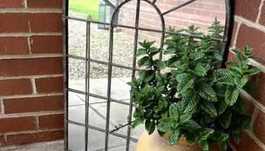 Kenton Mill Farm - Photo 3, Garden