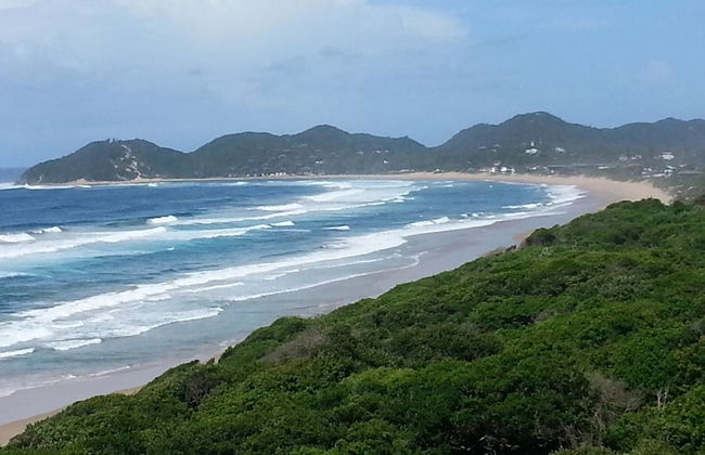 Baleia Vista Sea View - Photo 24