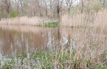 superbe appartement de 40m2 avec parking gratuit sur place - Foto 11