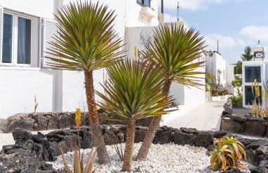 Casa Salinas del Mar - Foto 50