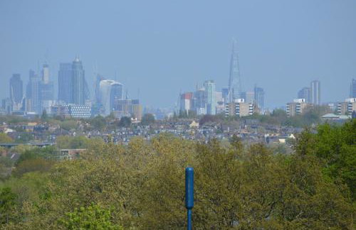 Wimbledon Views - Foto 9