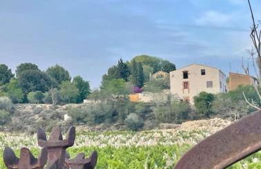 Masía entre viñedos y mar - Foto 32