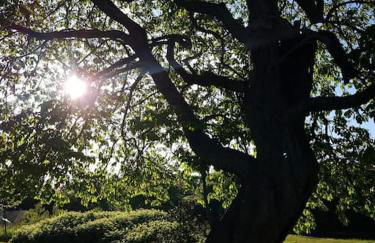 COHCO'ART GITES - Foto 27