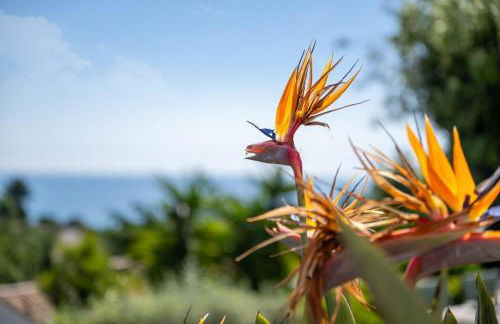 Villa Cigales - Foto 66