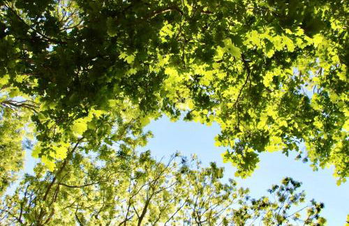 The Little Barn - Foto 59