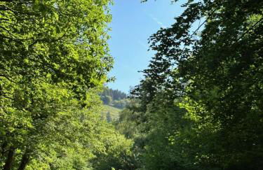 Ty Cwm - Cwmcarn Valley House - Foto 37