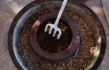 Tenuta San Marcello - Foto 4