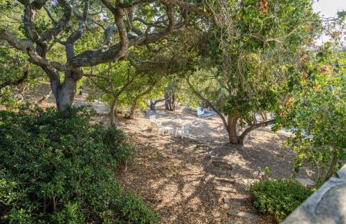 Lilly's Guesthouse-Farmstay with Valley Views! - Foto 20