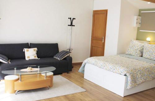 Saint Etienne : appartement Châteaucreux 40 M2 - Foto 7