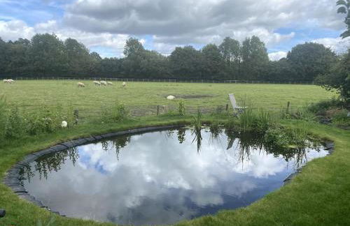 Charming artist’s cottage - Foto 7