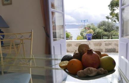 Les Figuiers - Foto 45