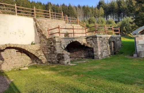 Gîte nature rénové dans les Vosges Saônoises - FR-1-583-459 - Foto 32