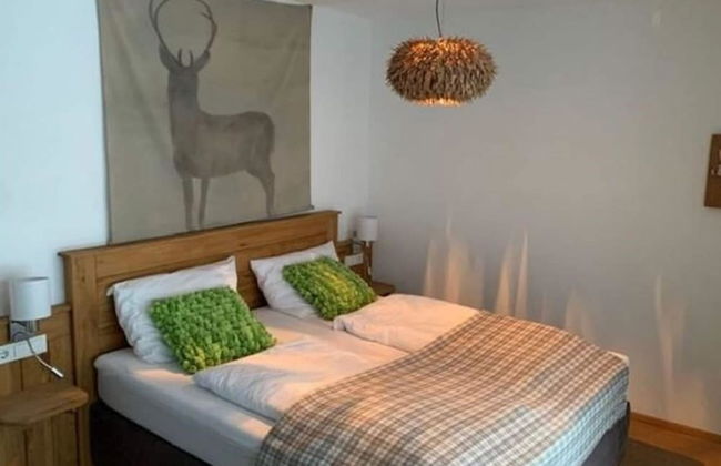 Ski In, Ski Out in Saalbach near Zell am See Xpress - Foto 5