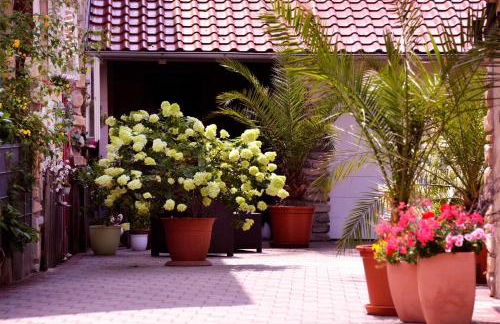 Ferienhaus Taubergießen - Foto 30