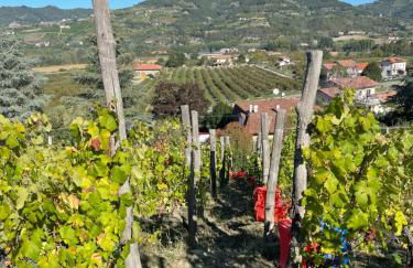 Agriturismo Poderi Zunino - Foto 69