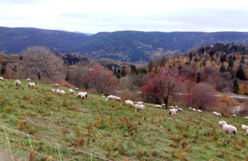 Gite le grenier du roc - Foto 5