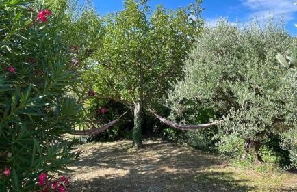 L’Olivier - Foto 41