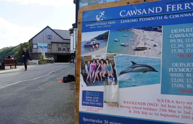 Blue Monkey - Foto 45