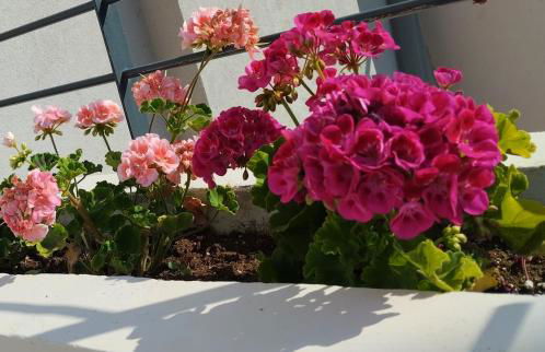 Ellie's guesthouse, Nafplio - Photo 8