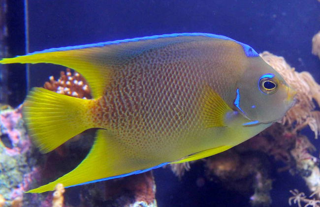 Key West Aquarium - Foto 1