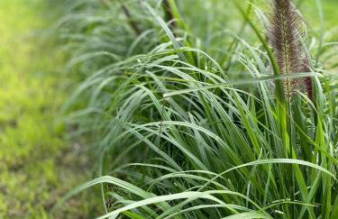 Białe Żagle Mazury - Foto 33