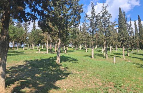 Alsos Home - Foto 21