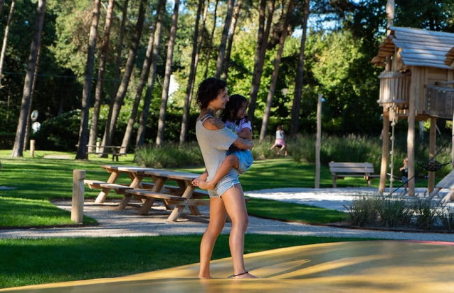 Chalet by Park Pond in the Netherlands - Photo 17