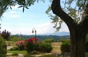 Agriturismo Valiana - Foto 45