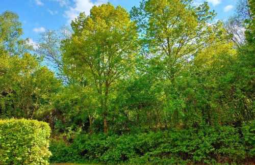 Apartment Rehblick Hohenwarth - Photo 17