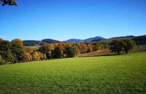 Ferienwohnung am Kreuzfelsen - Foto 12