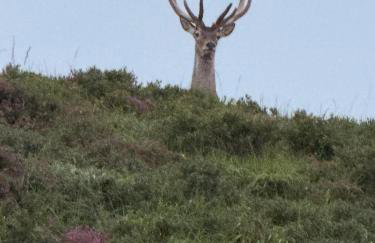 Carters Rest Allt Mor Cottage Holiday Let - Foto 11