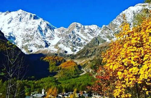 Coccinella House - Foto 19