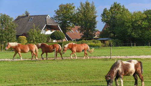 Ferienwohnung auf dem Ferienhof „Zur alten Linde“ - Foto 2
