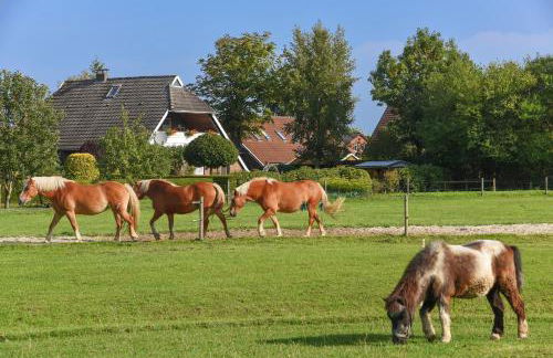 Ferienwohnung auf dem Ferienhof „Zur alten Linde“ - Foto 2